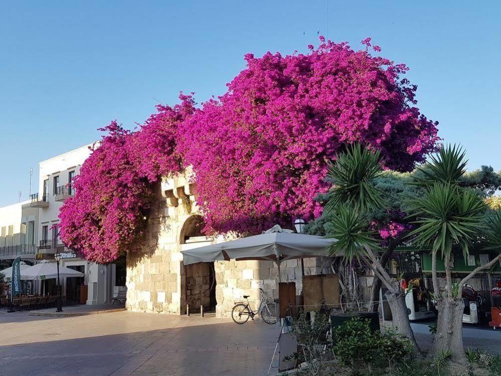 Paradise Hotel Città di Kos Esterno foto